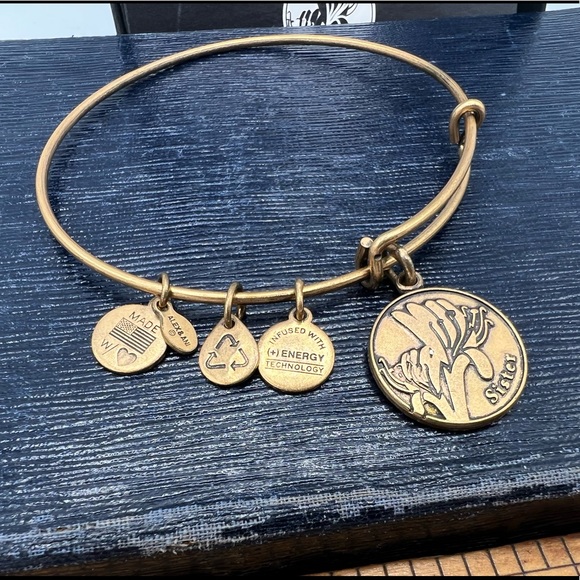 “Sister” bracelet ALEX AND ANI antique bronze Because I Love You new in box - Picture 1 of 3